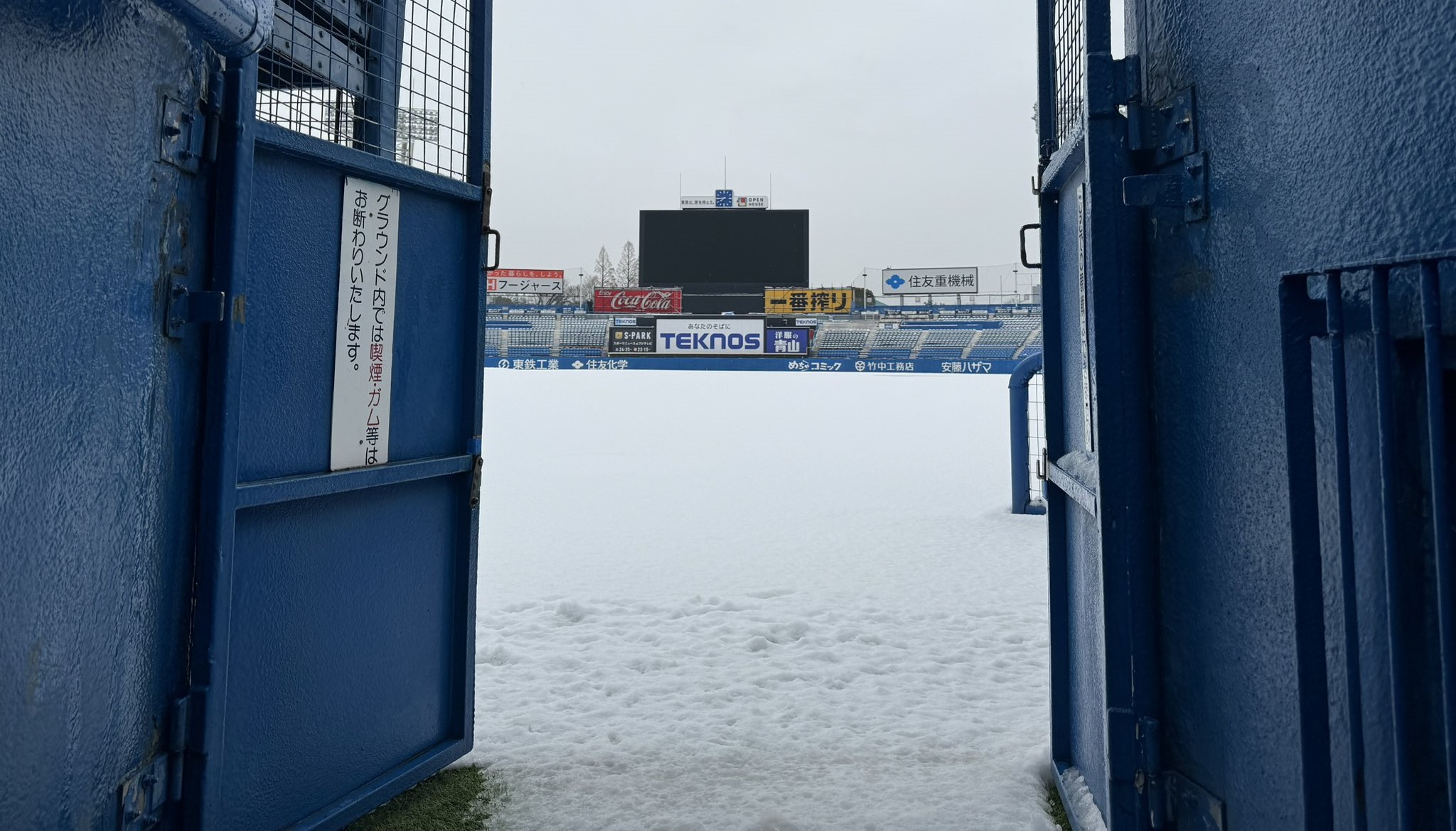 日職 / 東京大雪 明治神宮球場也變身銀白世界